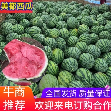 美都西瓜，产地直发，对接全国批发市场档口，价格美丽，联系