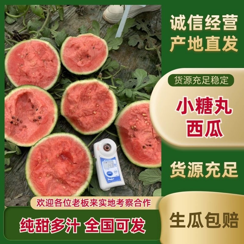 小糖丸西瓜，批发，产地直发，价格不高，质量有保障，欢迎联系
