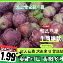 【热卖】四川凉山五月脆李子大量上市中货源充足价格优惠批发