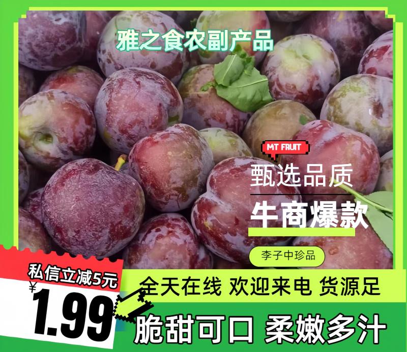 【热卖】四川凉山五月脆李子大量上市中货源充足价格优惠批发