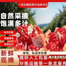 【优选】四川凉山石榴产地直发现摘现发口感软糯多汁批发零售