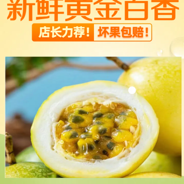 正宗黄金百香果钦秘9号
