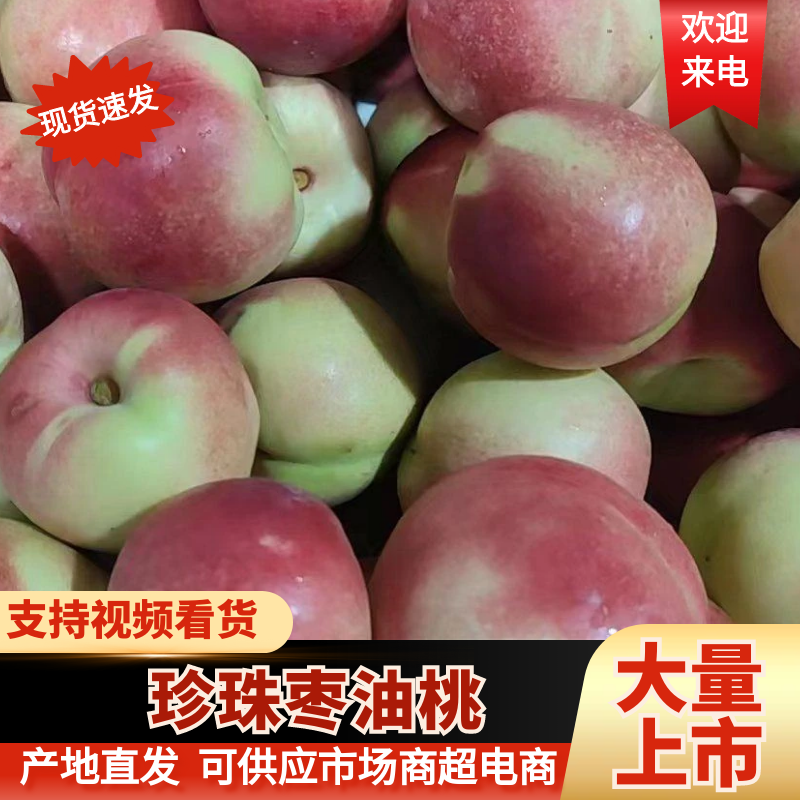 【口感脆甜】山东珍珠枣油桃严格挑选保质保量可全国发货