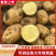 黄心土豆精品土豆基地直发供应全国市场电商商超