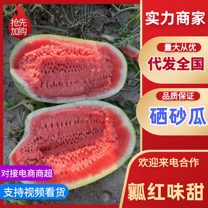 硒砂瓜宁夏石头瓜产地直发甘甜爽口质量三包代发全国
