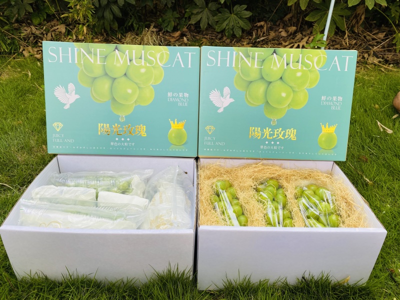 大理宾川阳光玫瑰【一级果10-12克】