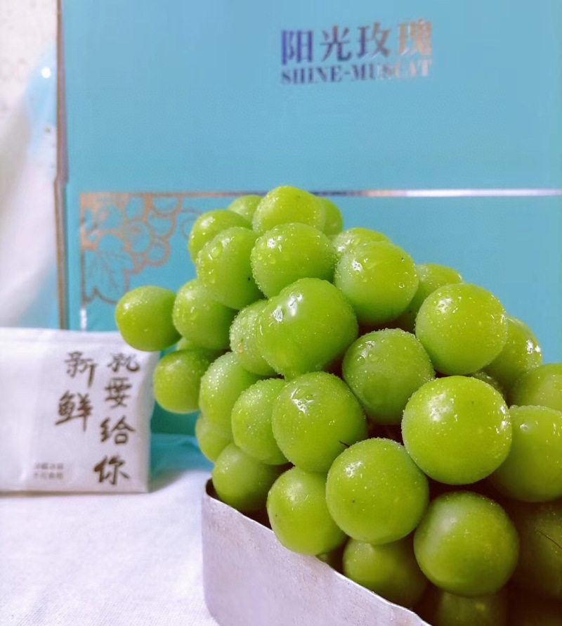 大理宾川阳光玫瑰【二级果8-10克】