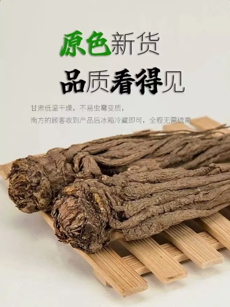 精品当归大量上市产地直发价格优惠欢迎来电洽谈价更优