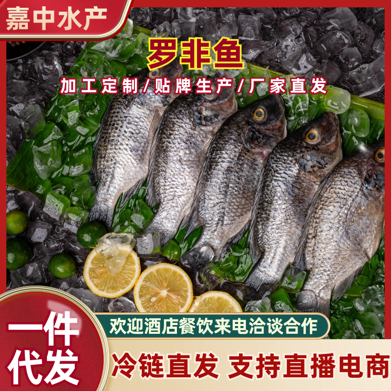 罗非鱼块