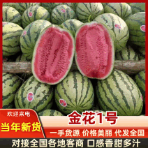 《宁夏金花西瓜》中卫西瓜/硒砂瓜/沙土地瓜/康乐西瓜/
