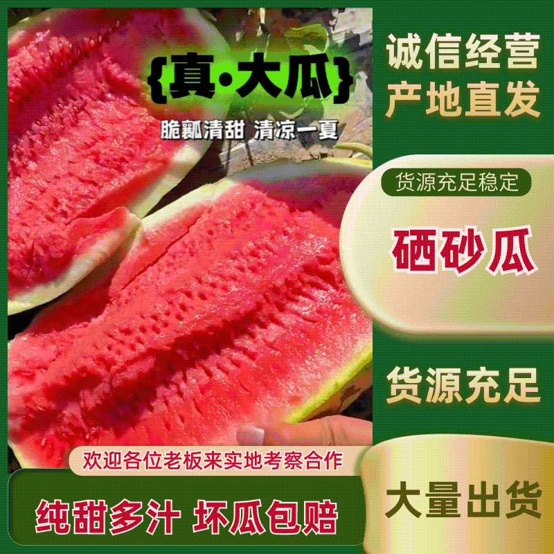《宁夏金城五号》石头瓜/硒砂瓜/中卫西瓜/日供应30万斤