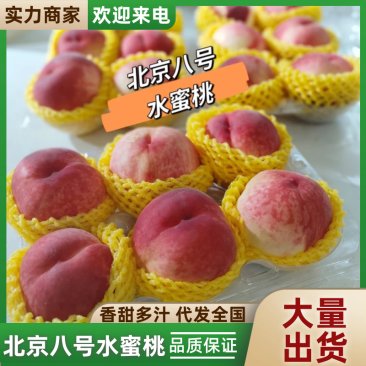 北京八号桃山东水蜜桃基地直发甜度高汁水多代发全国