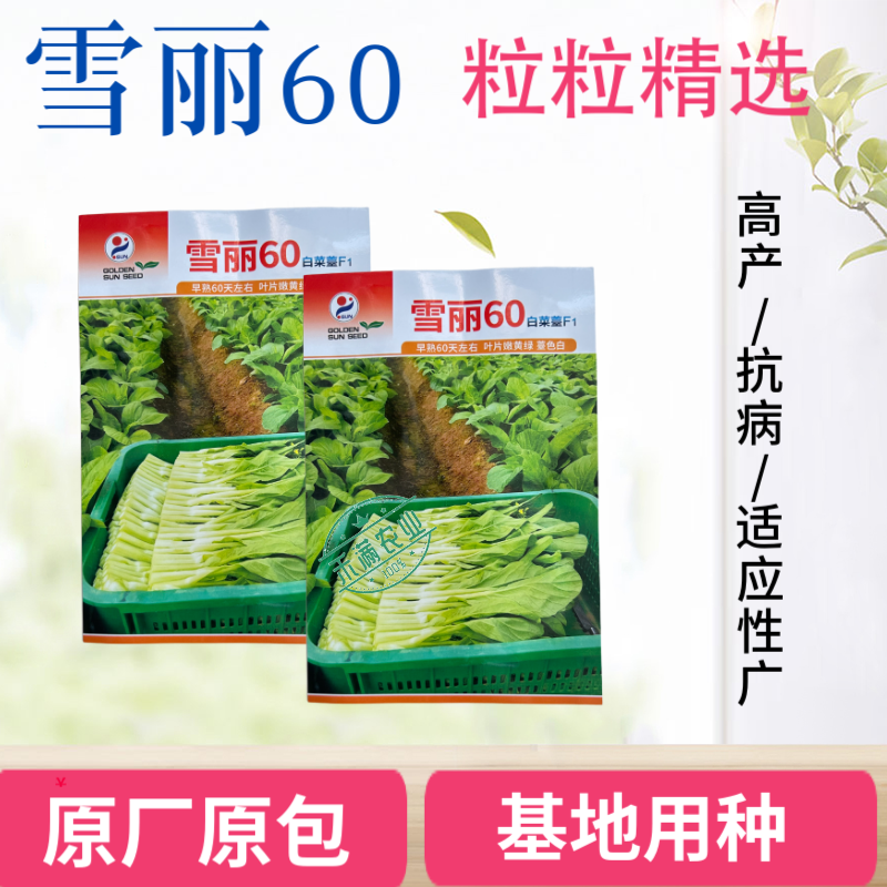 【多茬采收】金阳雪丽60白菜苔种子早熟菜芯种籽耐寒侧芽