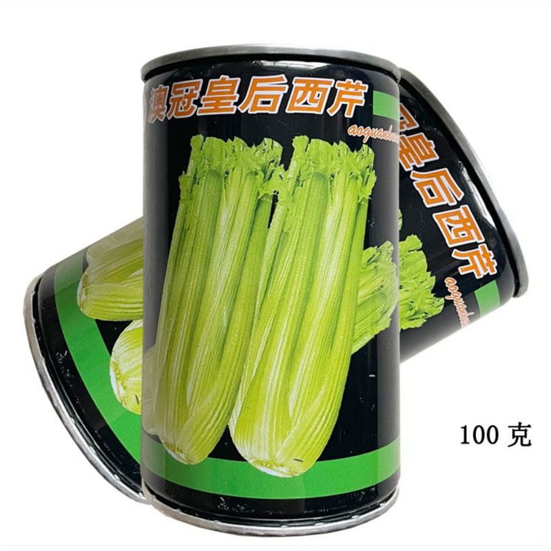 澳冠皇后西芹种子芹菜种子法国皇后西芹黄绿油亮耐热夏季蔬菜