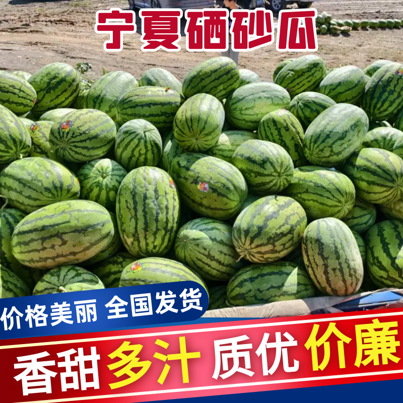 精品硒砂瓜一手货源量大质优价格实惠欢迎来电咨询采购