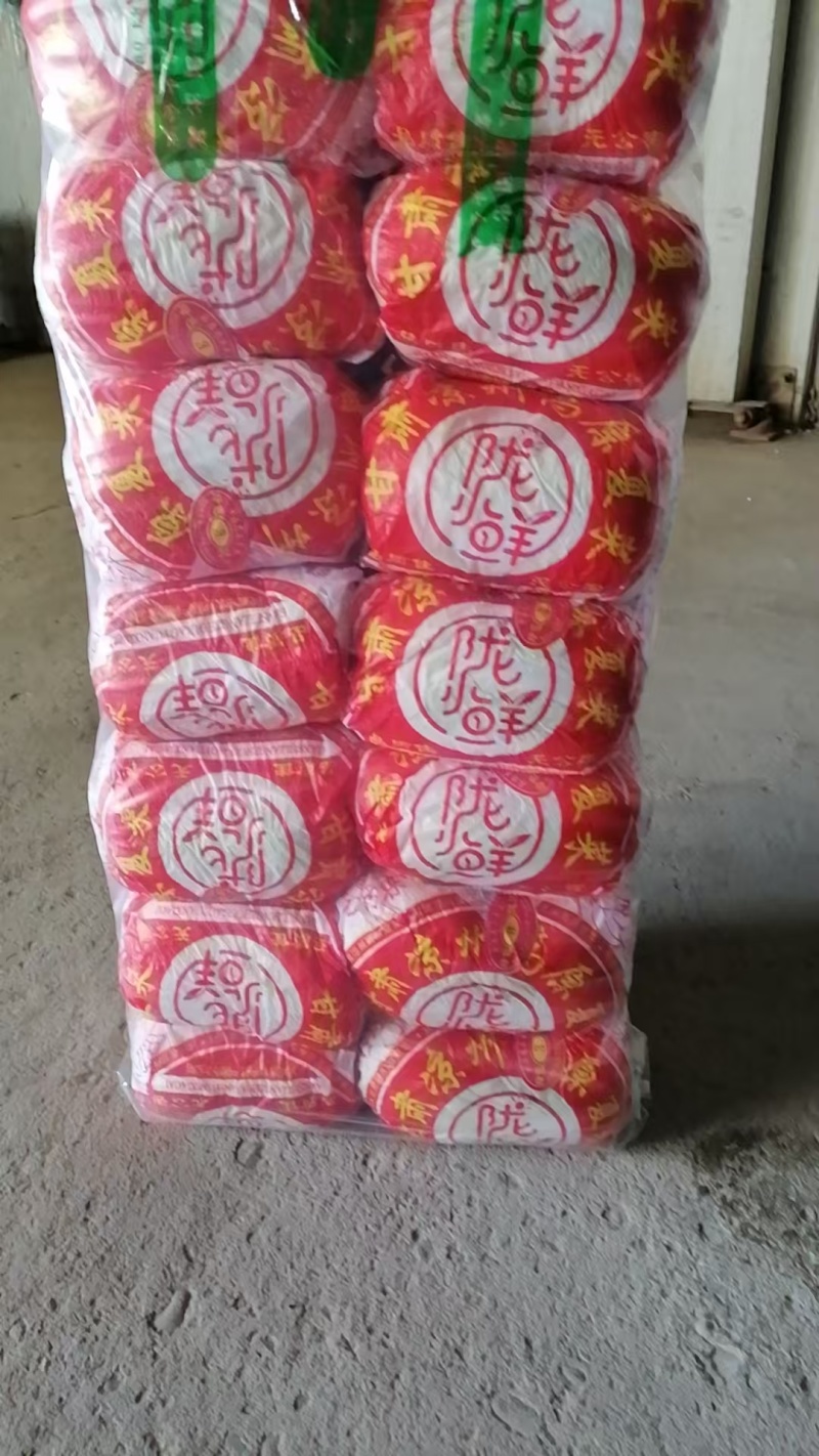【源头直采】甘肃大娃娃菜新鲜上市一手货源可视频看货
