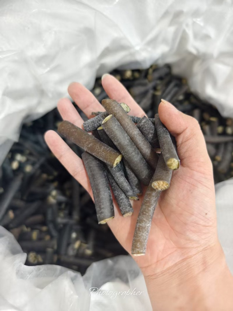 海笋产地直发品质保证价格优惠诚信经营实力商家
