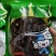 海笋产地直发品质保证价格优惠诚信经营实力商家
