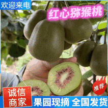 红心猕猴桃/四川猕猴桃/原产地发货/整车批发～电商～商超