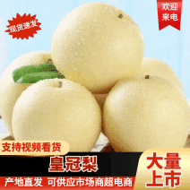 河北辛集皇冠梨，个大色白，口感脆甜核小无渣走市场电商都可