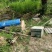 自家养殖土蜂蜜秦岭蜂蜜波美度42可以实地看货挑货满意为止