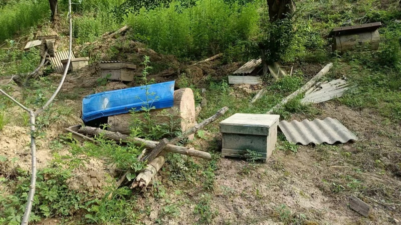 自家养殖土蜂蜜秦岭蜂蜜波美度42可以实地看货挑货满意为止