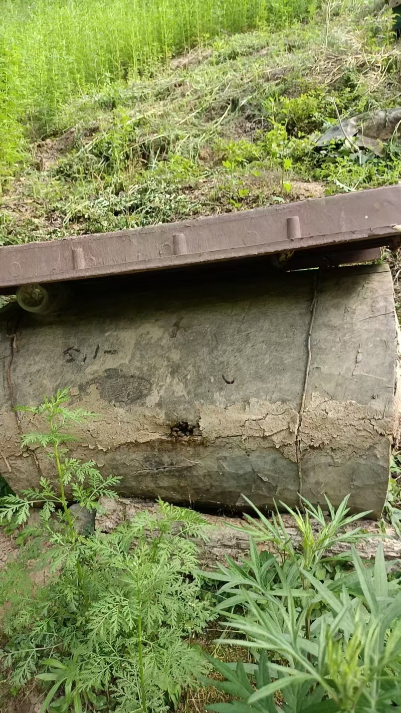 自家养殖土蜂蜜秦岭蜂蜜波美度42可以实地看货挑货满意为止