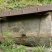 陕西原产地土蜂蜜货量大全国接单一手货源按需求装瓶量越大越便宜