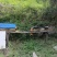 陕西原产地土蜂蜜货量大全国接单一手货源按需求装瓶量越大越便宜