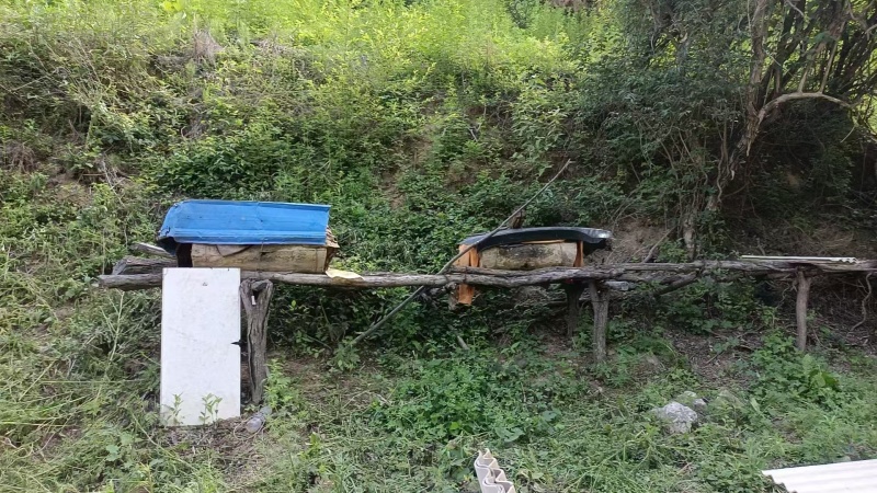 陕西原产地土蜂蜜货量大全国接单一手货源按需求装瓶量越大越便宜