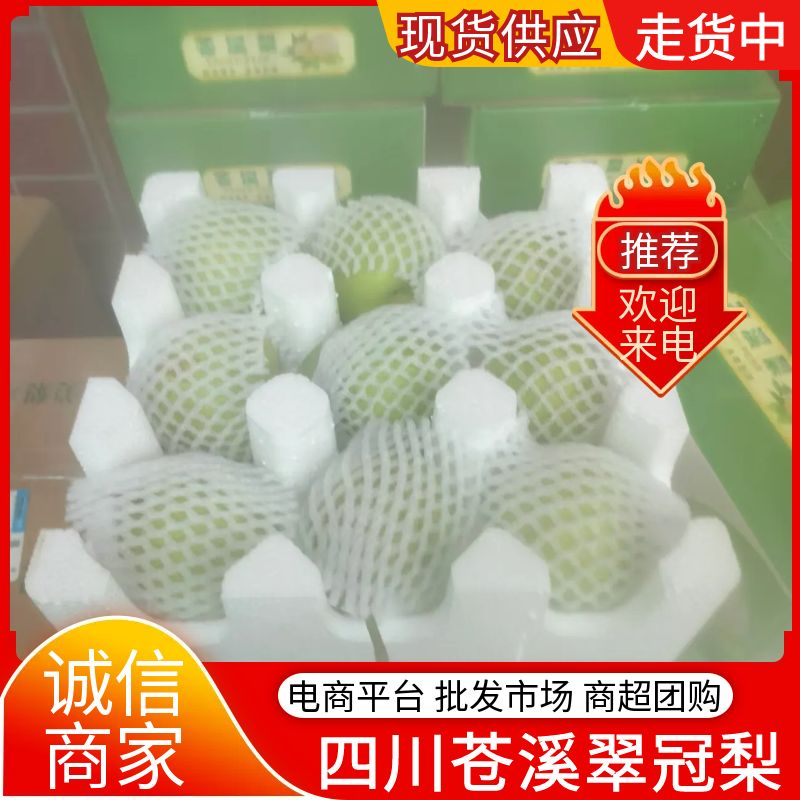 【翠冠梨】5斤/10斤装包邮发货/电商～一件代发～团购