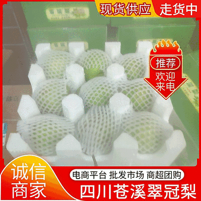 【翠冠梨】5斤/10斤装包邮发货/电商～一件代发～团购