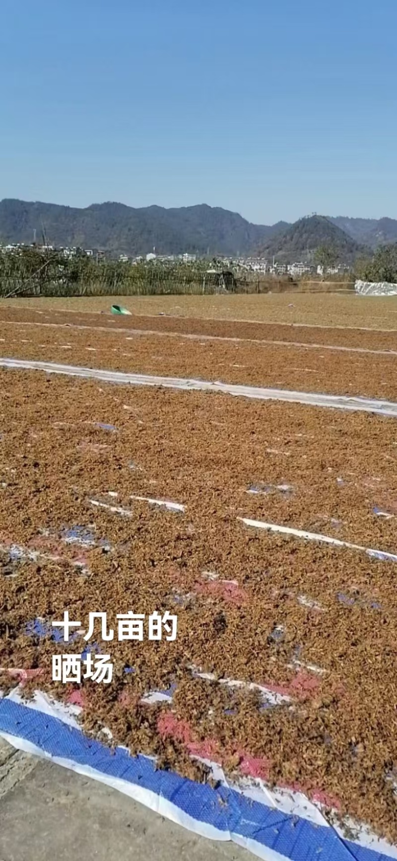 丽水梅干菜承接加工批发社区团购直播带货餐饮电商商超进出口
