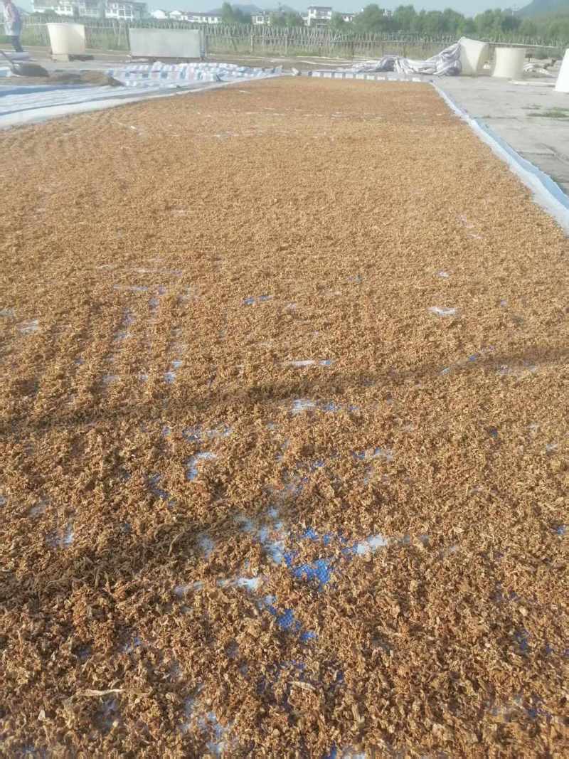 浙江梅干菜厂家直供货量大全年不断一手货源干净无杂耐储存运输
