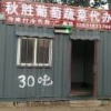 秋胜葡萄代办的一亩田店铺
