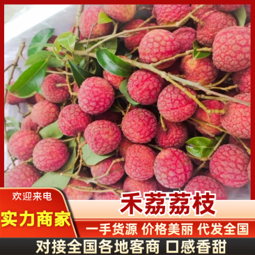 淮枝荔枝禾荔荔枝广西荔枝产地直供货源充足肉多核下