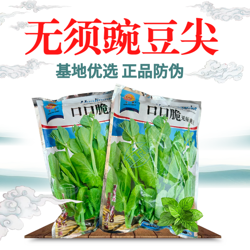 【正宗无须】口口脆无须豌豆种子华灵食用鲜嫩豌豆尖基地优选