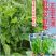【正宗无须】口口脆无须豌豆种子华灵食用鲜嫩豌豆尖基地优选