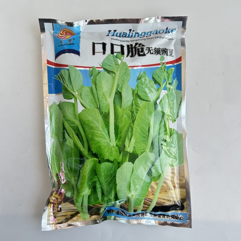 【正宗无须】口口脆无须豌豆种子华灵食用鲜嫩豌豆尖基地优选