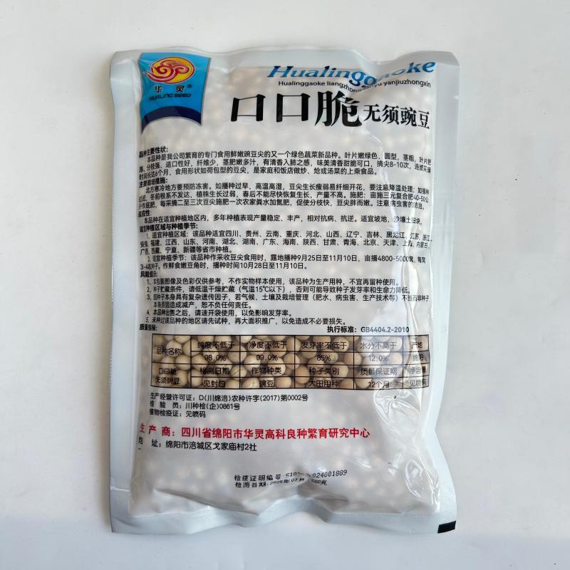 【正宗无须】口口脆无须豌豆种子华灵食用鲜嫩豌豆尖基地优选