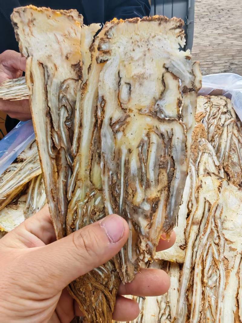 【精选】甘肃岷县当归佛手片一手货源量大价优可视频看货