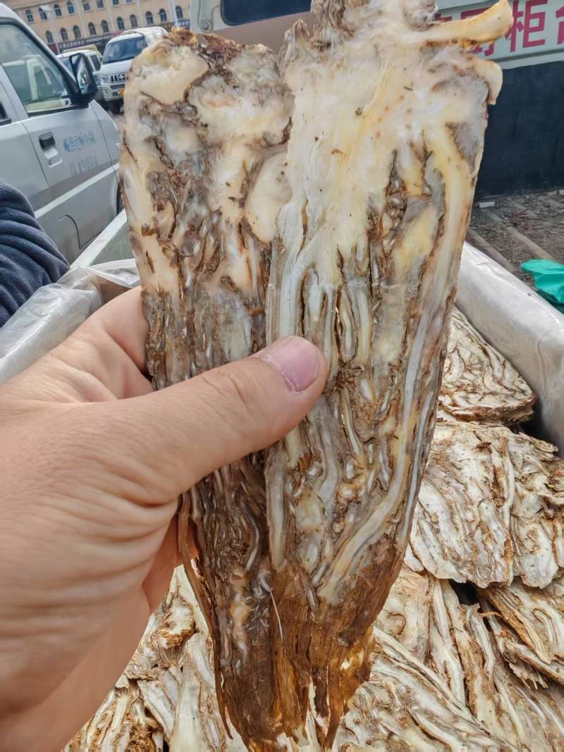 【精选】甘肃岷县当归佛手片一手货源量大价优可视频看货