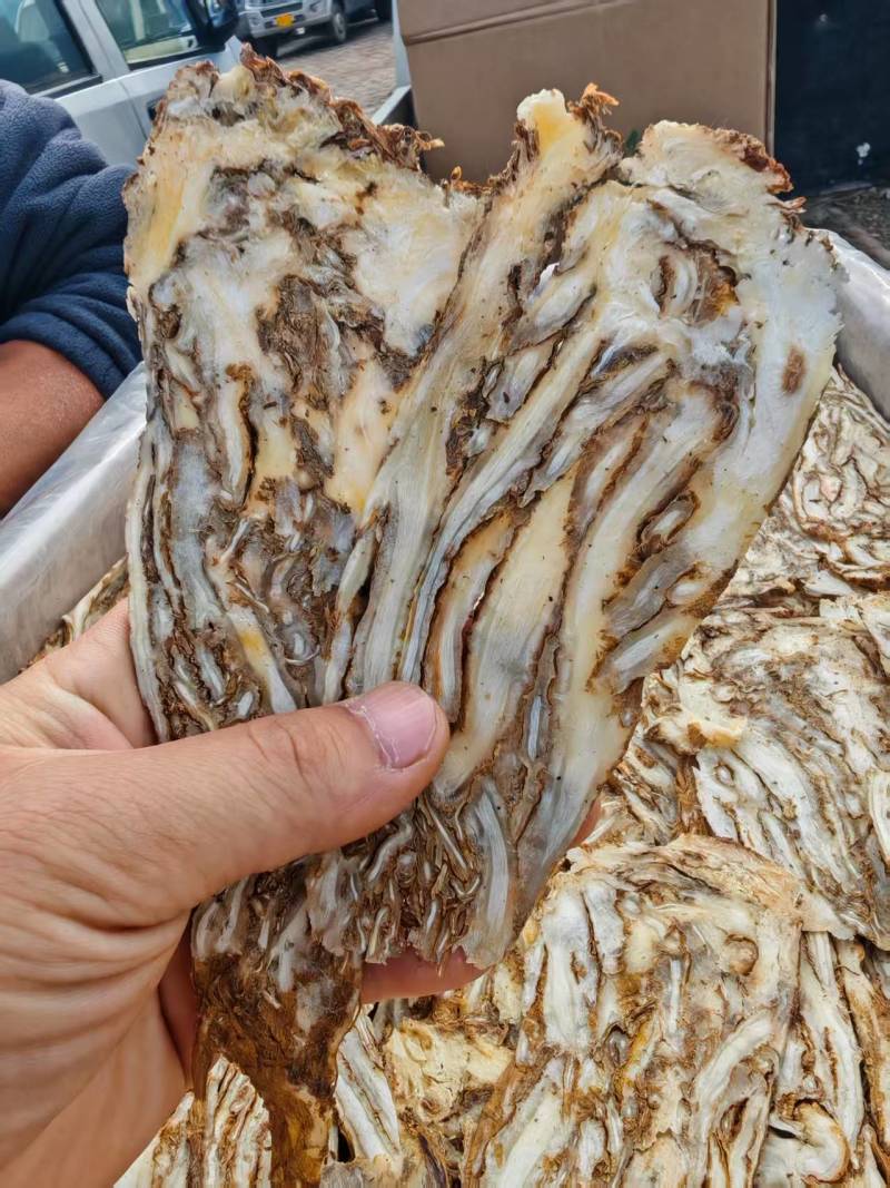 【精选】甘肃岷县当归佛手片一手货源量大价优可视频看货