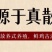 广东正宗咸香鸡盐焗鸡客家特产卤味即食手撕鸡
