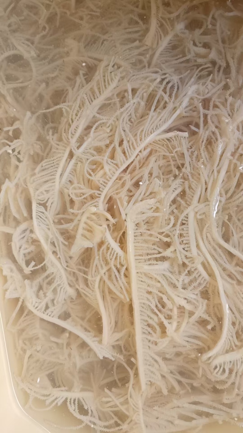 水煮千层源头厂家直发品质保障对接全国量大优惠