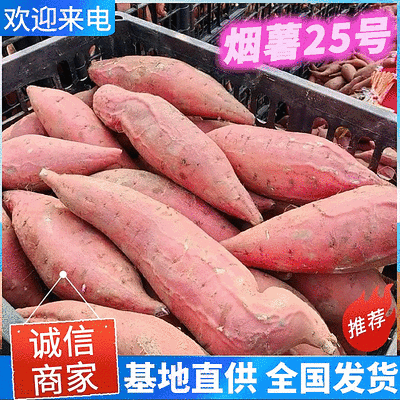 《精选》烟薯25号&山东红薯/常年供应/规格齐全/全国发