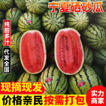 宁夏硒砂瓜石缝瓜中卫石头瓜基地直发品质保证欢迎咨询