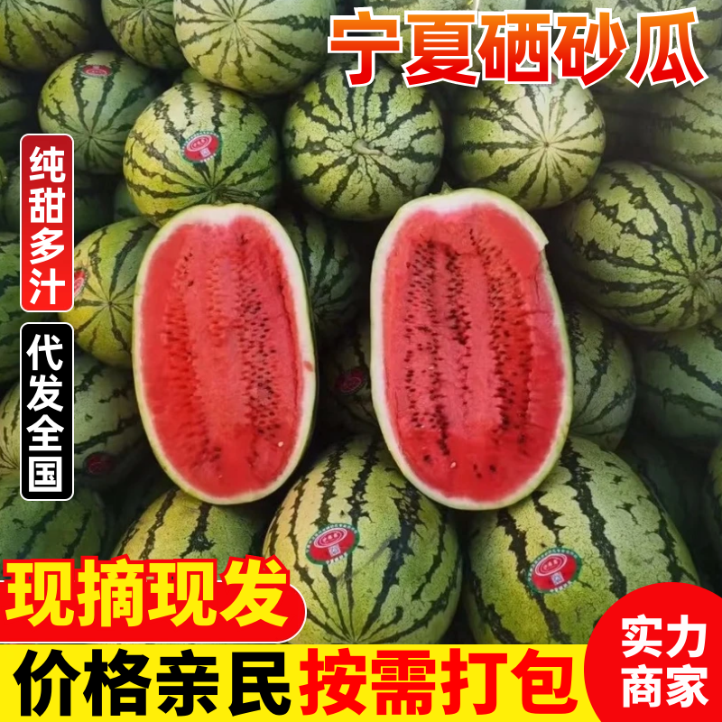 宁夏硒砂瓜中卫石头瓜基地直发品质保证欢迎咨询