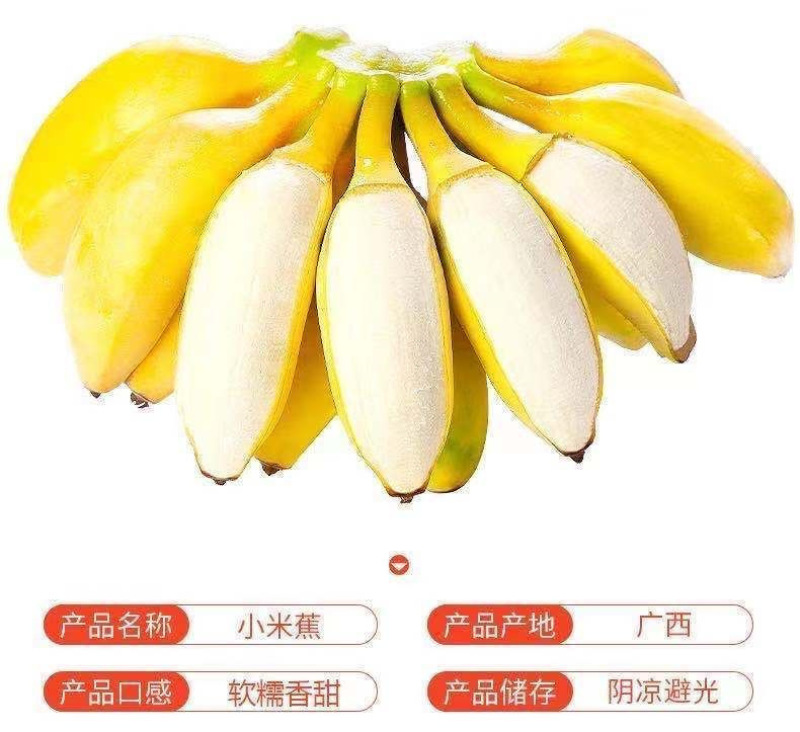 广西小米蕉一件代发产地直发一手货源对接各大电商平台