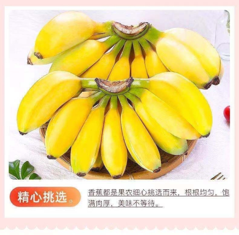 广西小米蕉一件代发产地直发一手货源对接各大电商平台